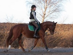 2011 Spring Marts